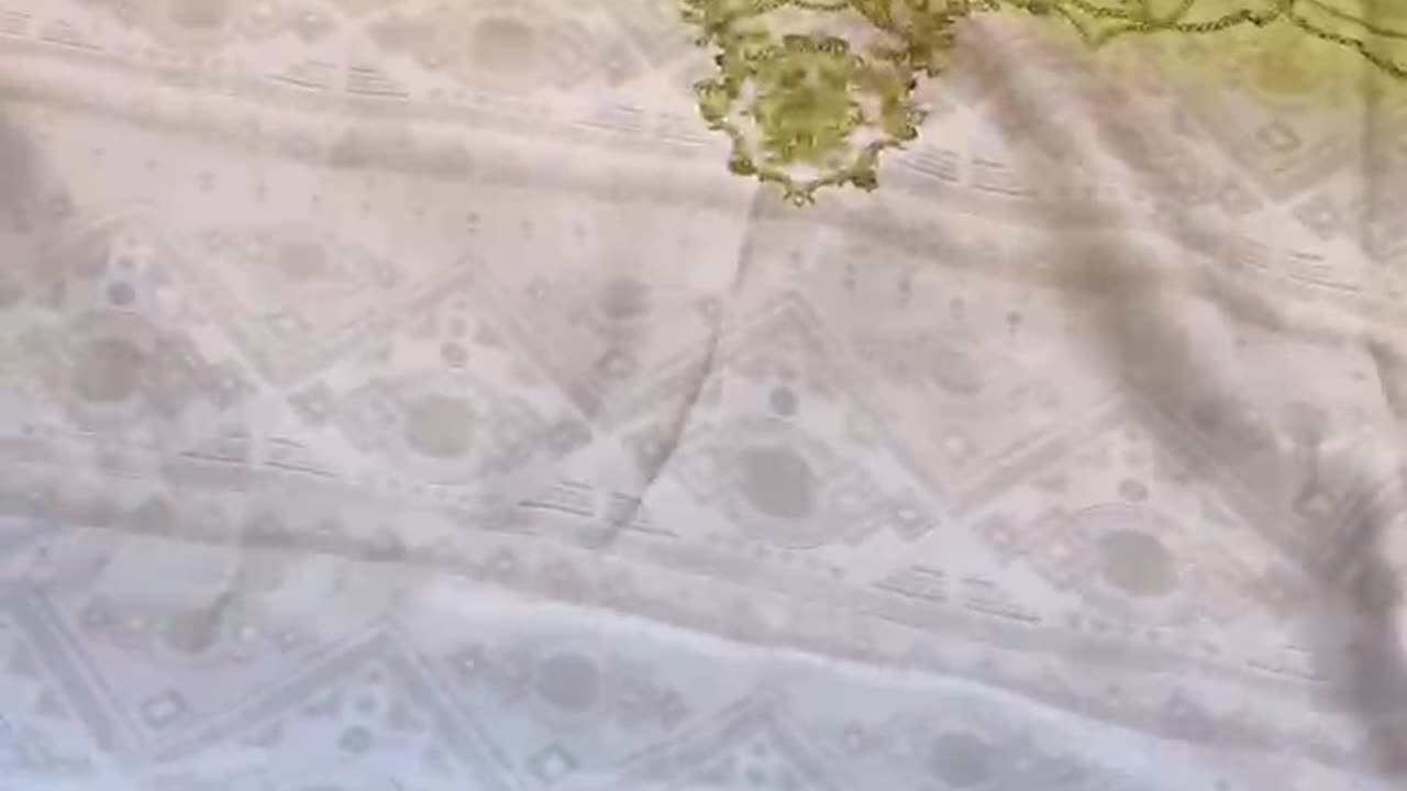 Evara AJR Digital Collection