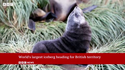 World_s largest iceberg heading for British territor