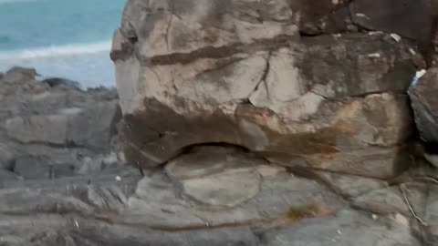 Queensland. Australia. The mystery is here too.