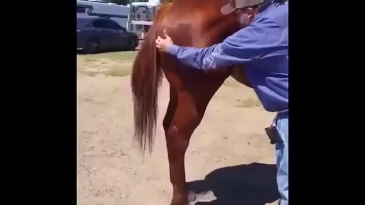 Lifewave ON HORSES...