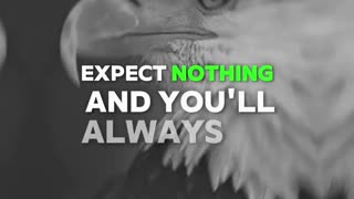 🌟 “Expect nothing and you will always be surprised.” 🌟