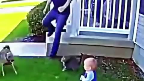 How fast a cat moves