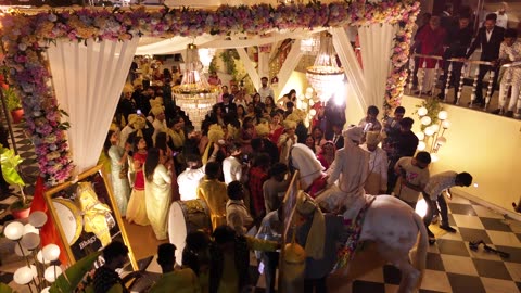 Horse Kicks Wedding Videographer