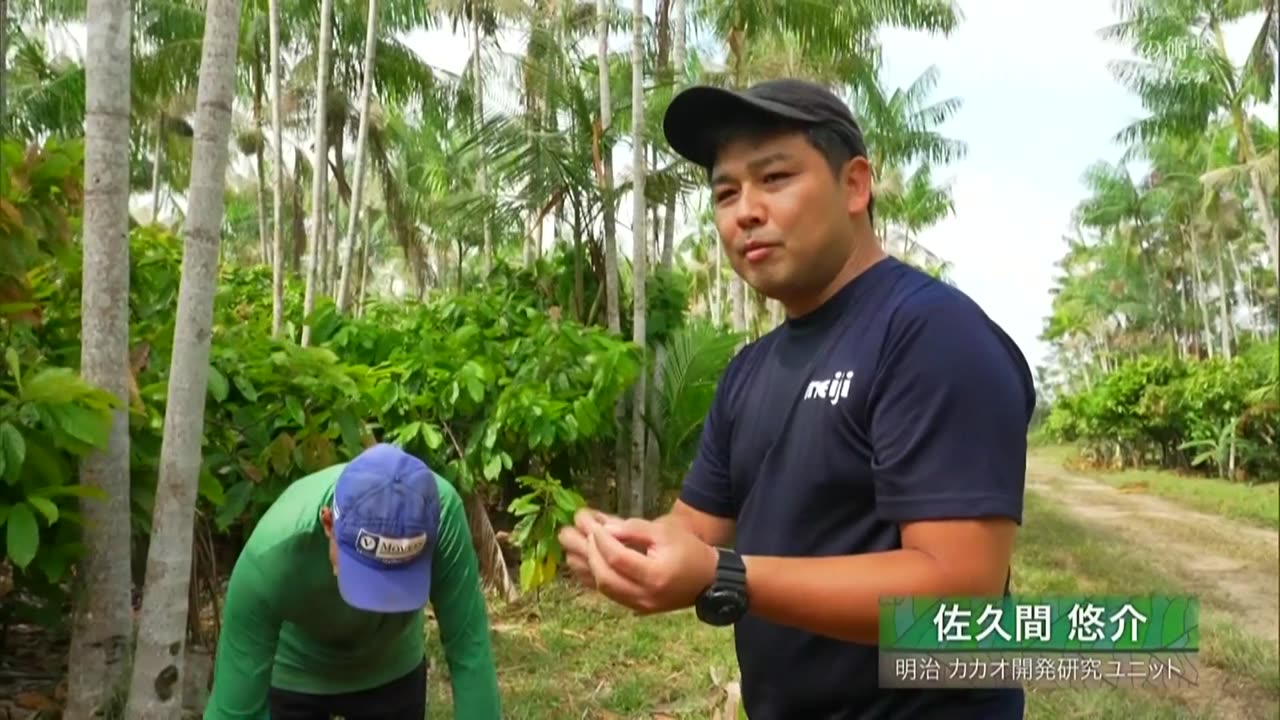 アマゾン“消失”の衝撃 ～COP30 熱帯雨林を守れるか～