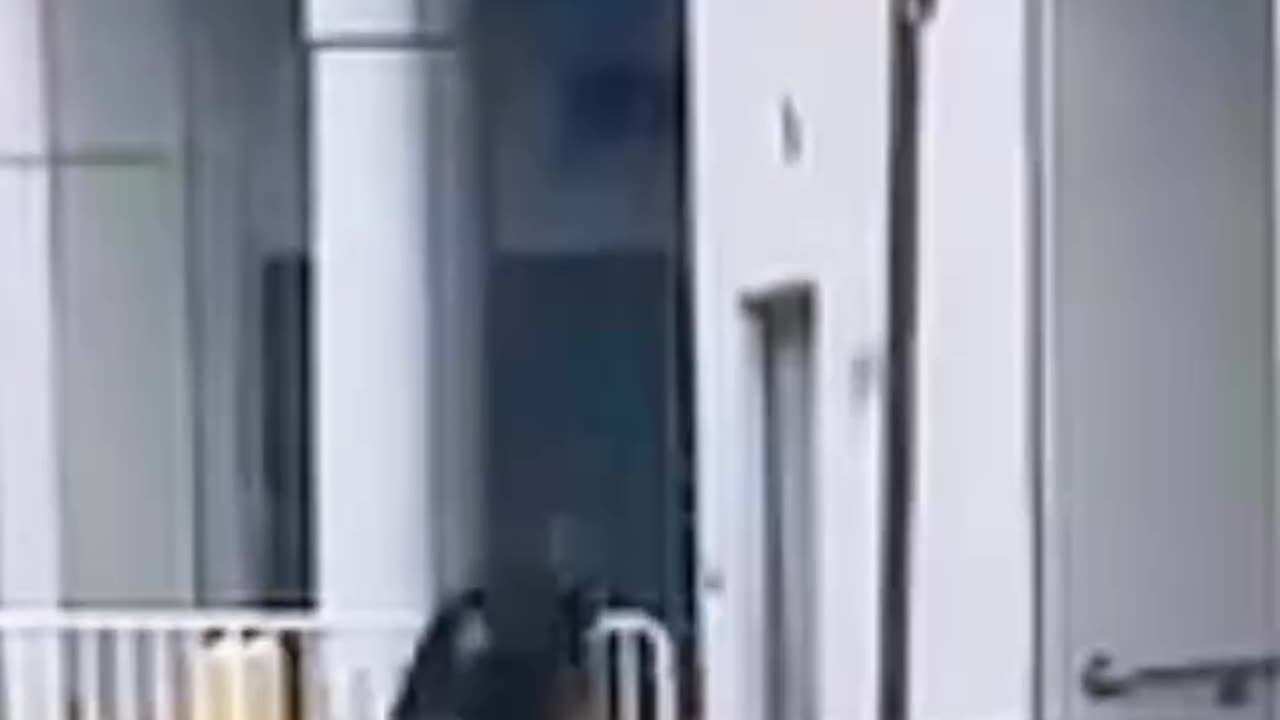 Black cops allowed to beat up White people in public