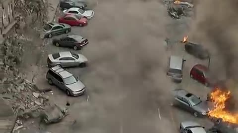 Animal warning to humans