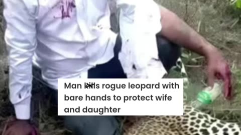 A man kills leopard 🐆 with his bare hands to protect his daughter. ❤