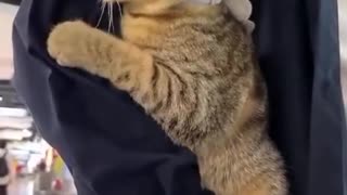 My little cling monster.