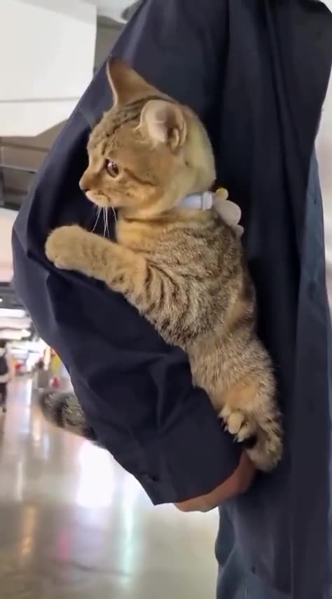 My little cling monster.