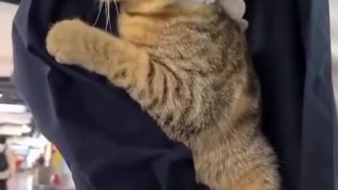 My little cling monster.