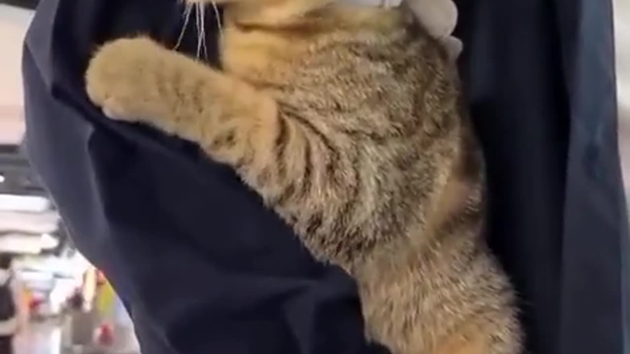 My little cling monster.