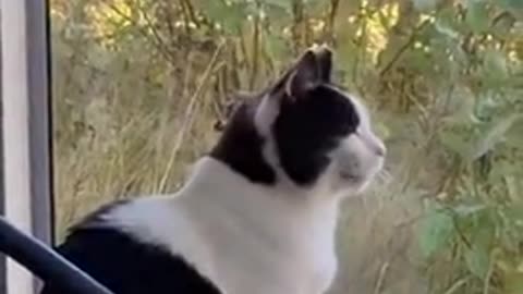 Swedish Court Rules Migrant who R*ped 16-yo Girl won't Be Deported