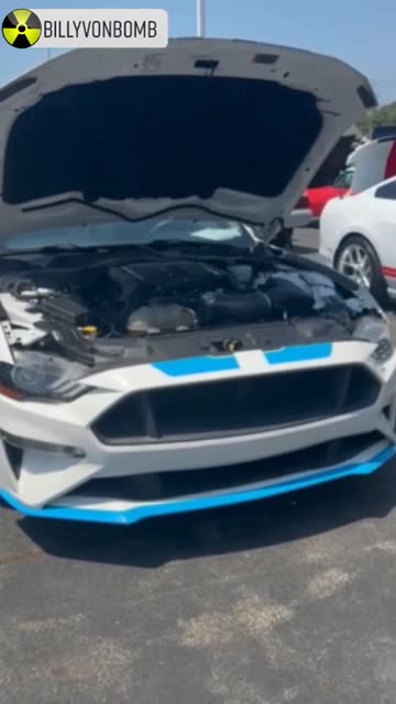 Monday Motor Madness # 161 - Petty's Garage Mustang