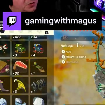 What is your malfunction? | Zelda: Tears of the Kingdom | game play | ep 91