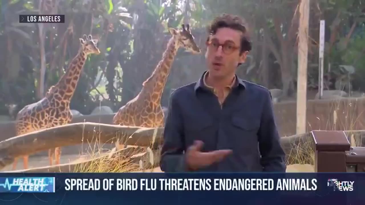 NOW THE ZOO ANIMALS THEY VACCINATED ARE ALL DYING. BUT THEY CALL IT BIRD FLU 🔥