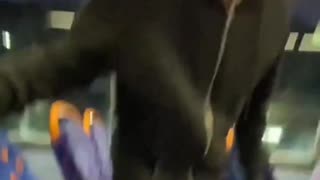 Women in Europe are not safe. EU politicians are responsible for this disaster.