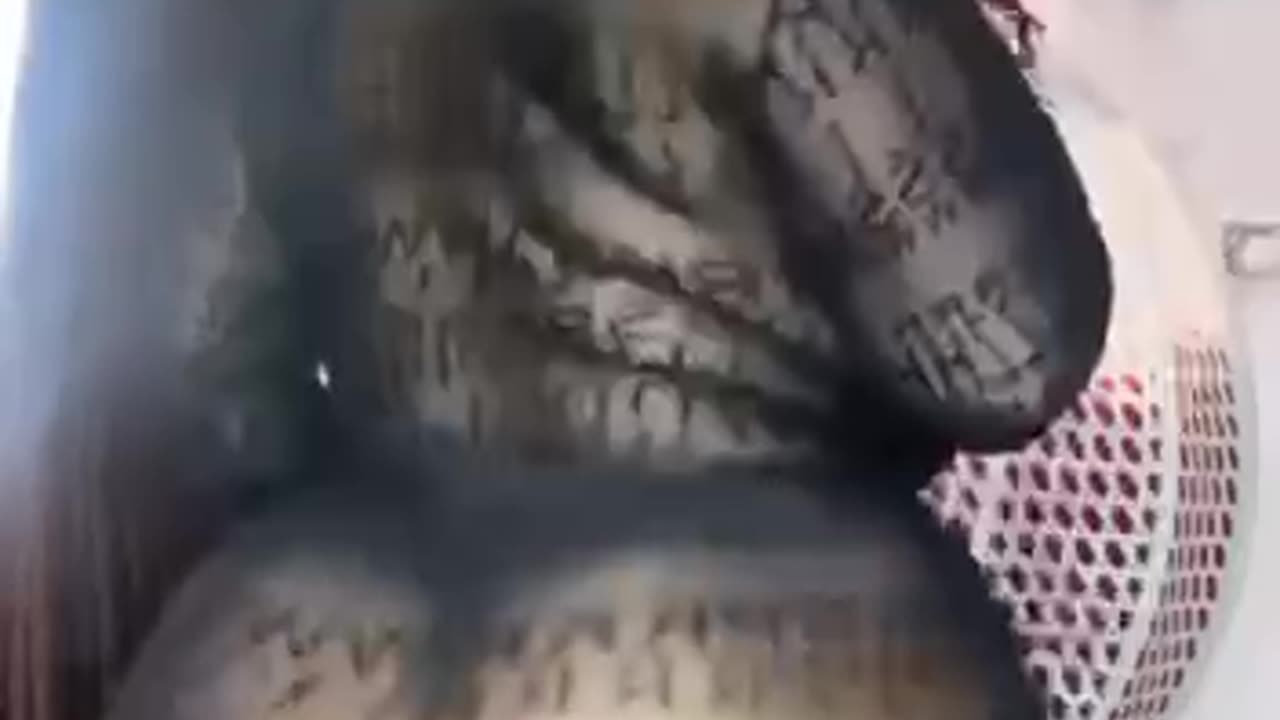 Daddy nasty big ass twerking.