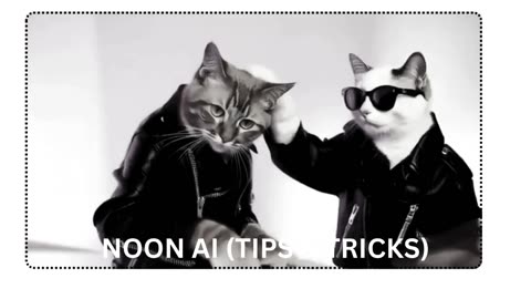 CATS VIDEO
