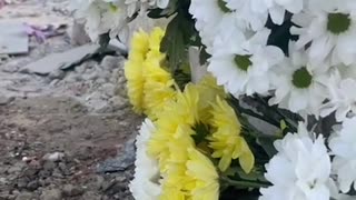 🏚️💔 Ukraine Russia War | Tragic Air Attack in Lapaivka, Family Affected | RCF