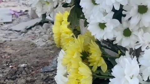 🏚️💔 Ukraine Russia War | Tragic Air Attack in Lapaivka, Family Affected | RCF