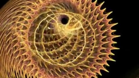 ElectricFlockis Midnight Lofi