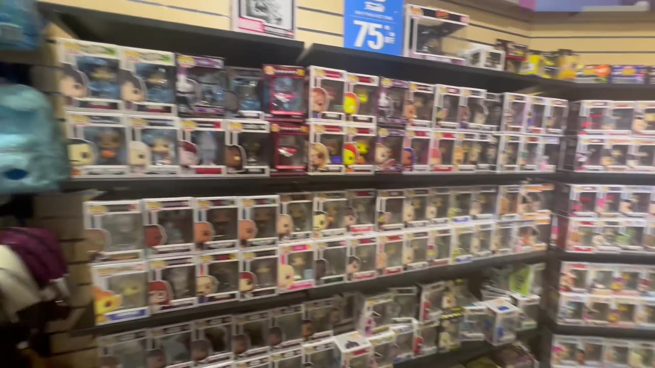 FUNKO FIG HUNT