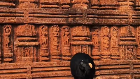 Sun Temple, konarak 🌞 🛕