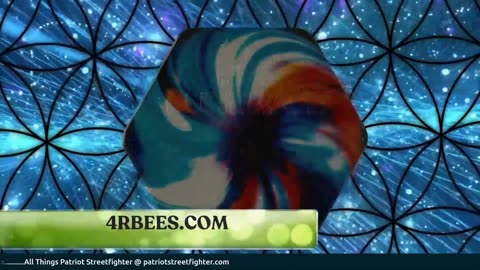 9.25.25 🐝 GUARDIANS OF LIFE: Bees, Frequency & the Quantum Field, How To Help Battle it