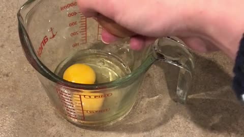 🤯✨ You Won't Believe This Double Yolk! | FeedMyCuriosity