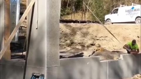 Barndominium on a basement?