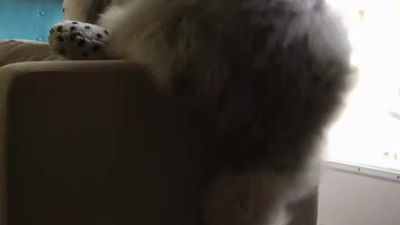 New year new challenges 😊