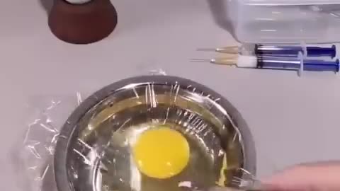 TOTAL MUST SEE:-OOO - HOW A CHICK IS BORN FROM AN EGG???