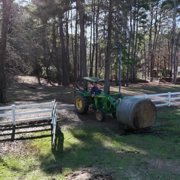 Horses love their hay