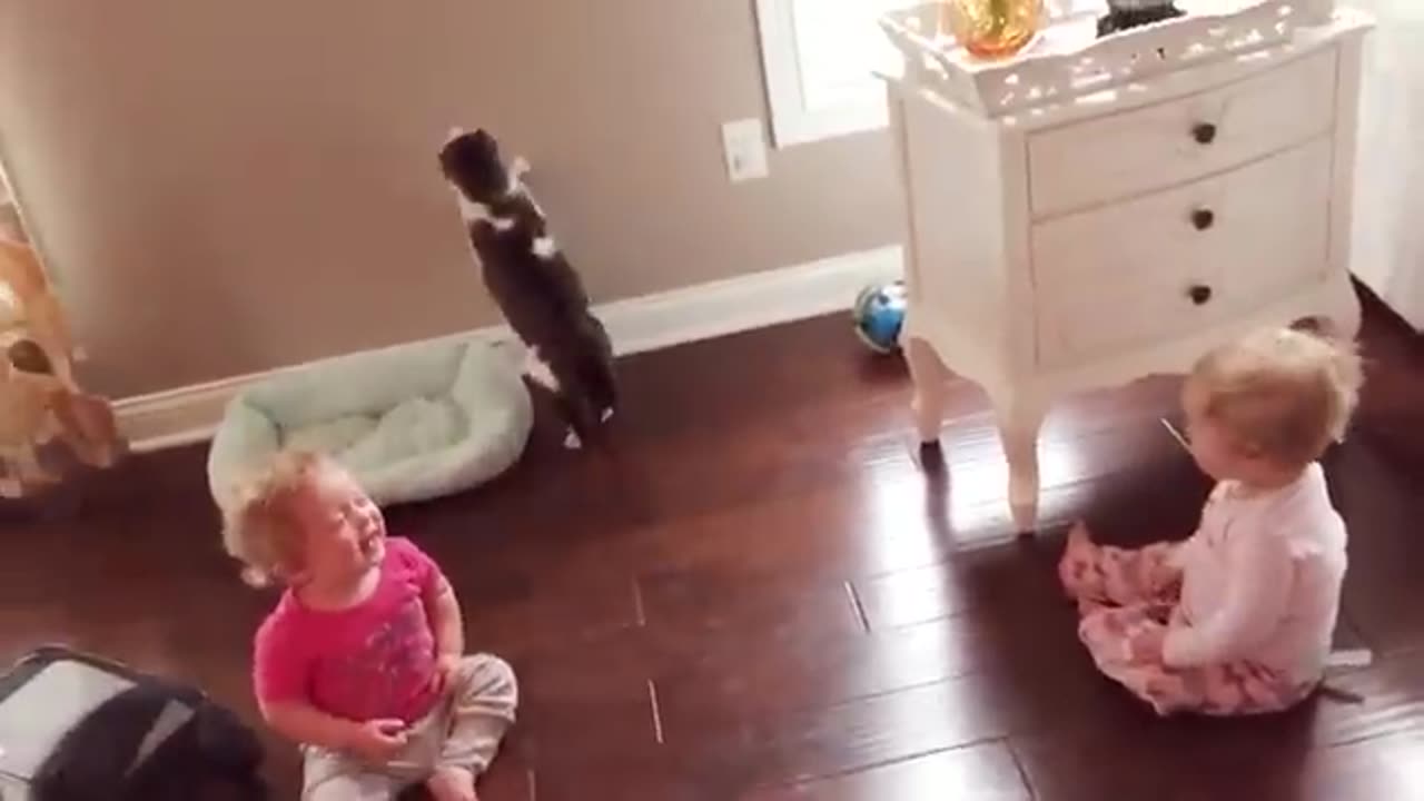 Baby And Cat Fun And Cute #2