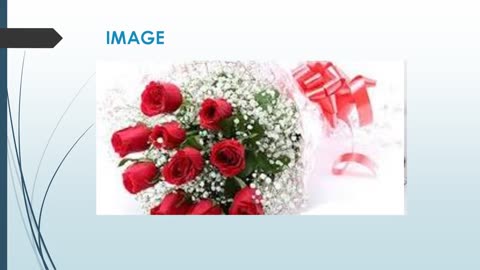 Best Christmas Flowers in South Leaze