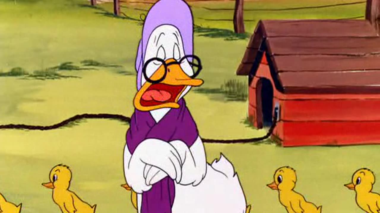 Looney Tunes Golden Collection S1947E13 Crowing Pains