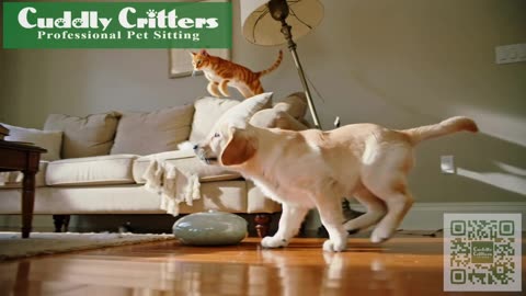 Cuddly Critters Brings Peace to Chaos