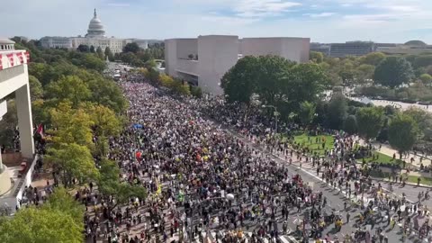 I guess half the public is not on board | Demonstrations Washington