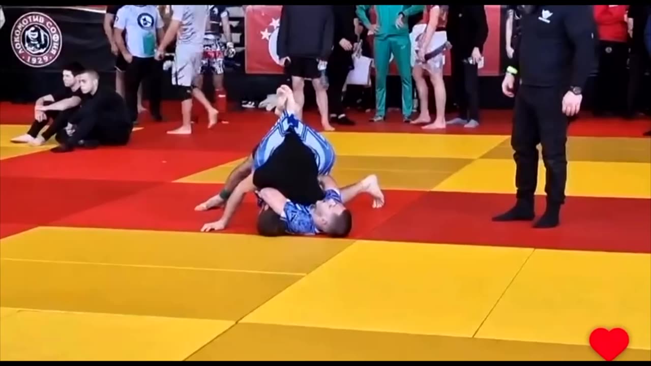 03 17.01.2026 SJJIF Ton 02