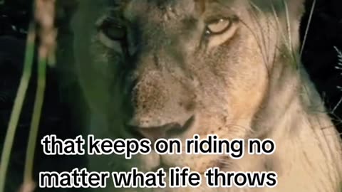 Motivational Thursday - Keep Going