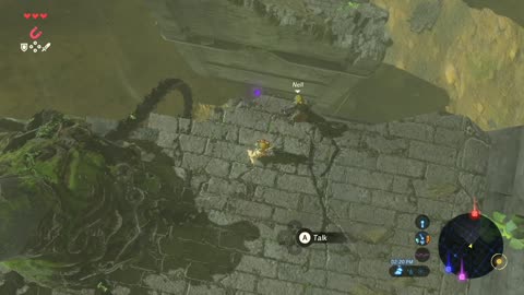 Akkala Citadel Ruins – Zelda: BOTW (Switch 2)