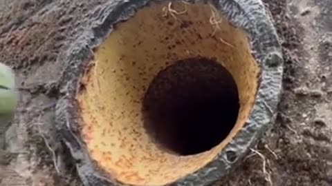 💡🔫 Discover the Ingenious Fake Grenade Trap Used to Fool Invaders | FeedMyCuriosity