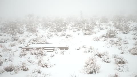 Snowfall in Joshua Tree National Park