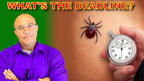 Lyme Disease Transmission: How Fast Can a Tick Infect You?