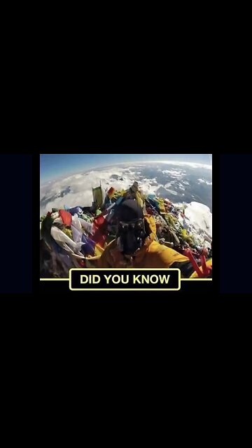 🚨 Did You Know This? 🤯 #reaction #ASL #deaf #realtalk #signlanguage #truth