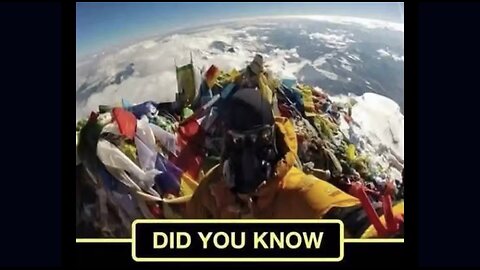 🚨 Did You Know This? 🤯 #reaction #ASL #deaf #realtalk #signlanguage #truth