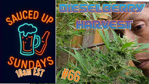 Sauced Up Sundays: DieselBerry Harvesting