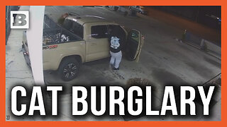 What Kind of Low-Life Crashes a Truck into a Building to Steal Someone's Cat?!