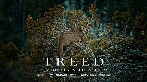 TREED - A Mountain Lion Film