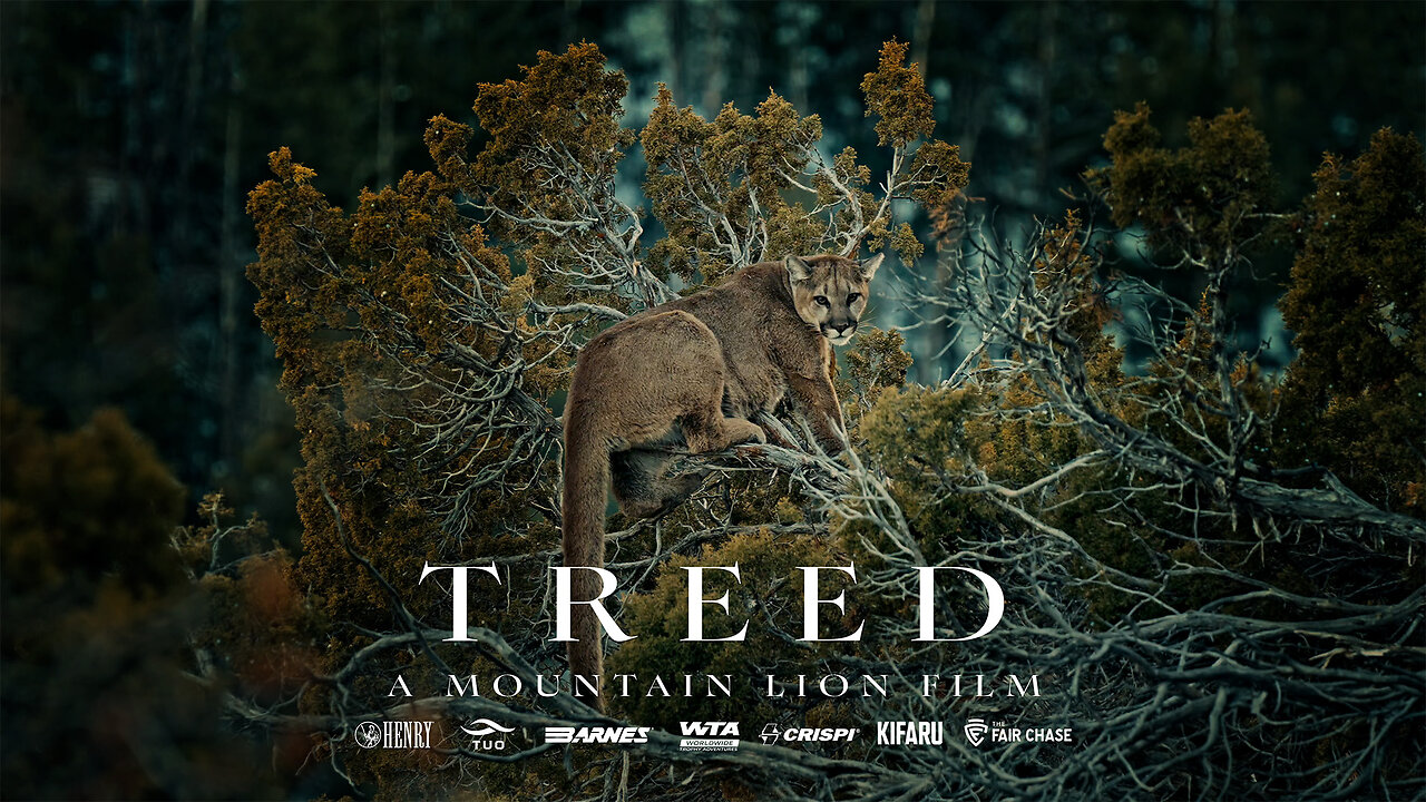 TREED - A Mountain Lion Film